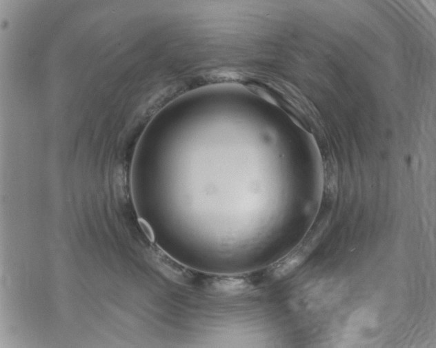 X0000073710669200608031241