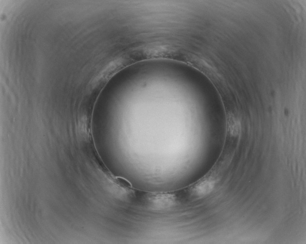 X0000073710670200608031241