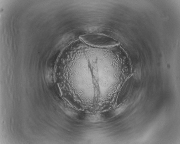 X0000073710671200608031241