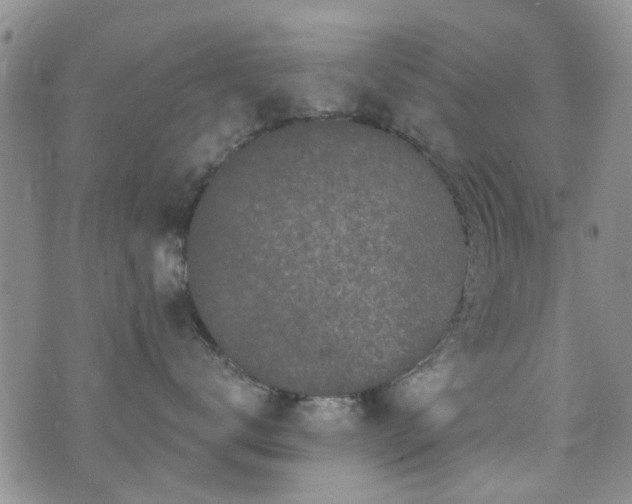 X0000073710672200608031241