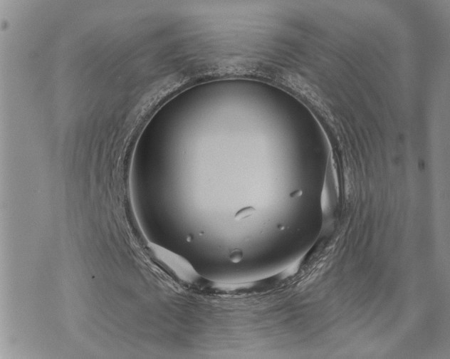 X0000073710673200608031240