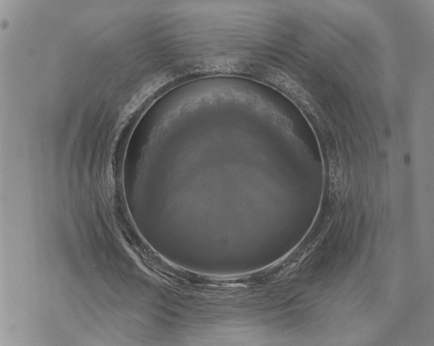 X0000073710674200608031240