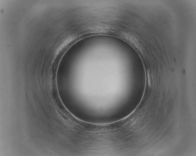 X0000073710675200608031240