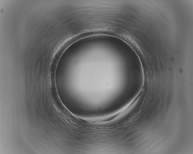 X0000073710676200608031240