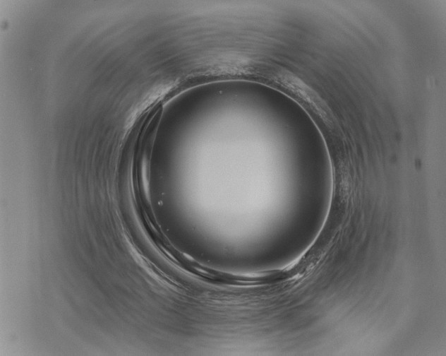 X0000073710677200608031240