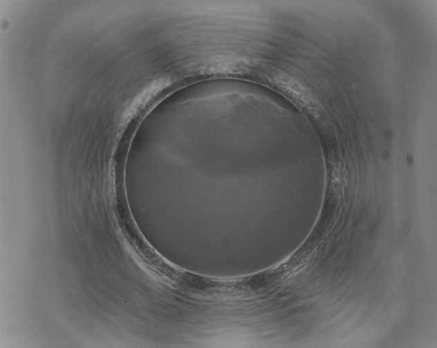 X0000073710678200608031240