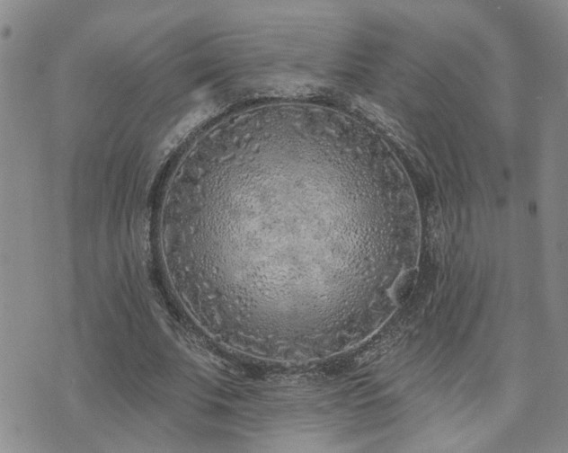 X0000073710679200608031240