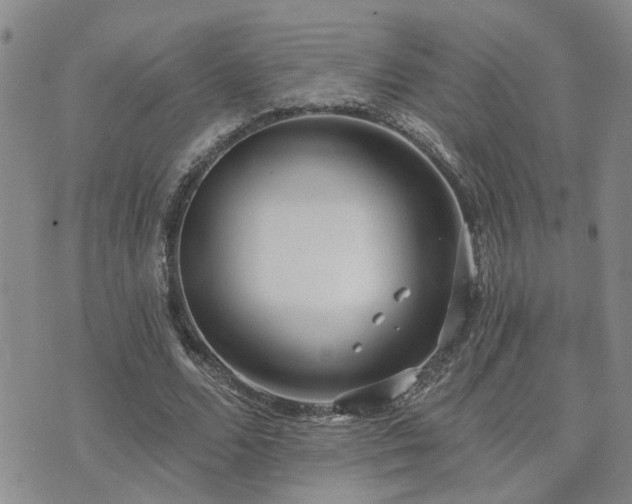 X0000073710680200608031240