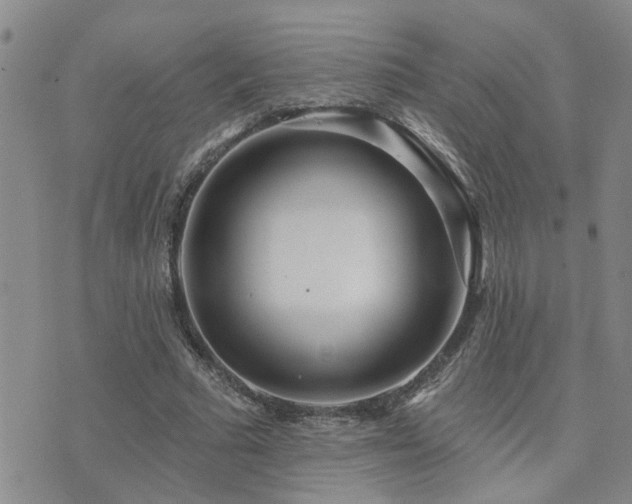 X0000073710681200608031240