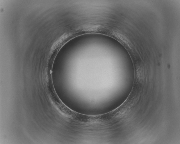 X0000073710682200608031240