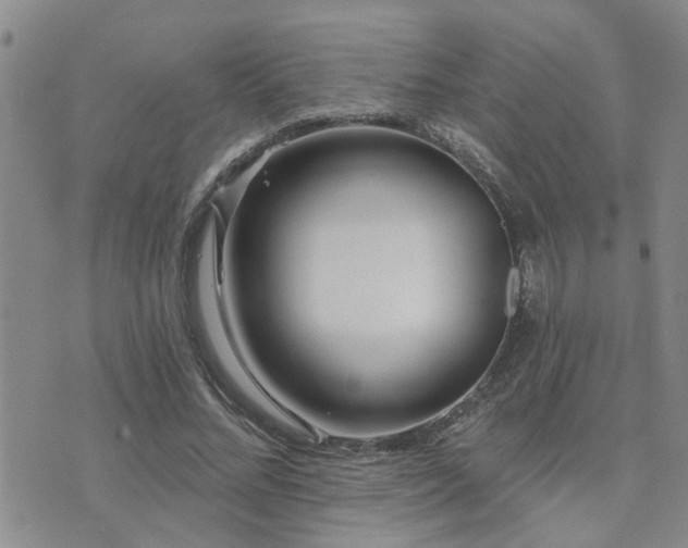 X0000073710684200608031240