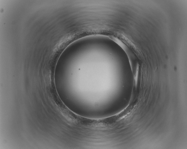 X0000073710685200608031240