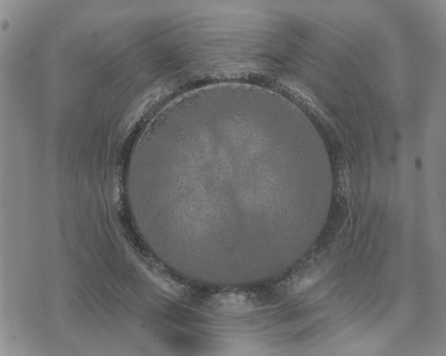 X0000073710687200608031240