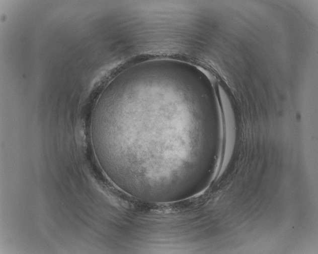 X0000073710688200608031240