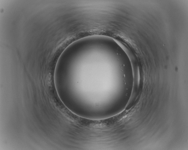 X0000073710689200608031240