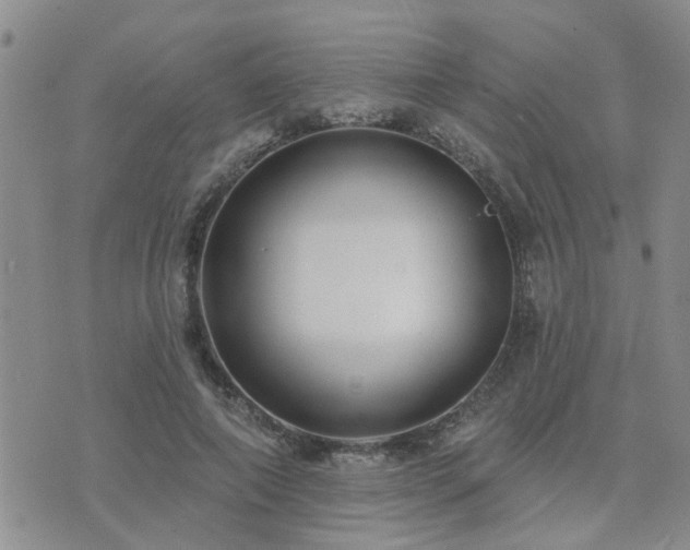 X0000073710690200608031240