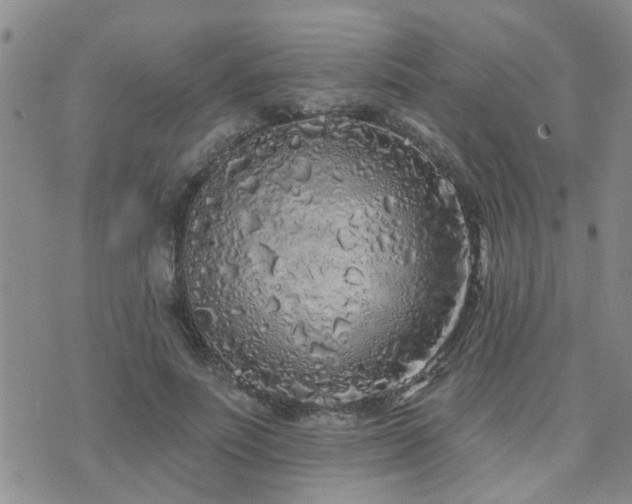 X0000073710691200608031240