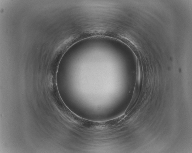 X0000073710692200608031240