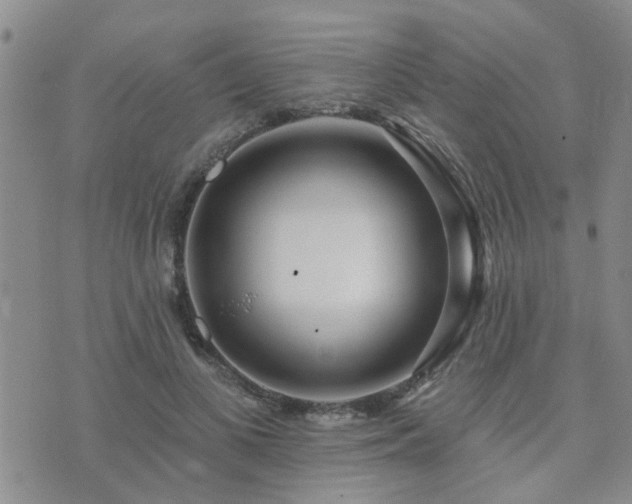 X0000073710693200608031240