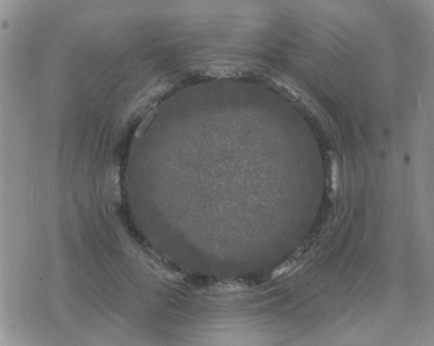 X0000073710696200608031240