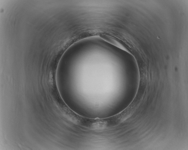 X0000073710700200608031240