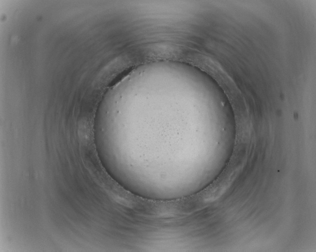 X0000073710701200608031240