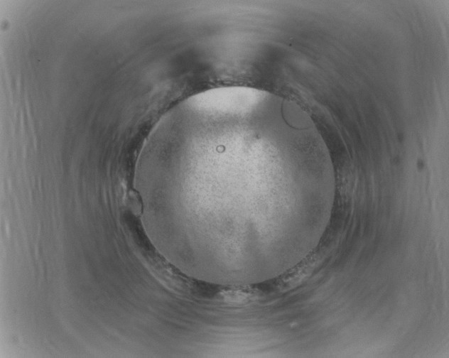 X0000073710703200608031240