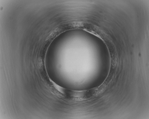 X0000073710704200608031240