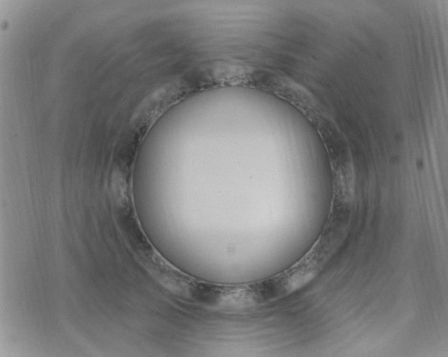 X0000073710705200608031240