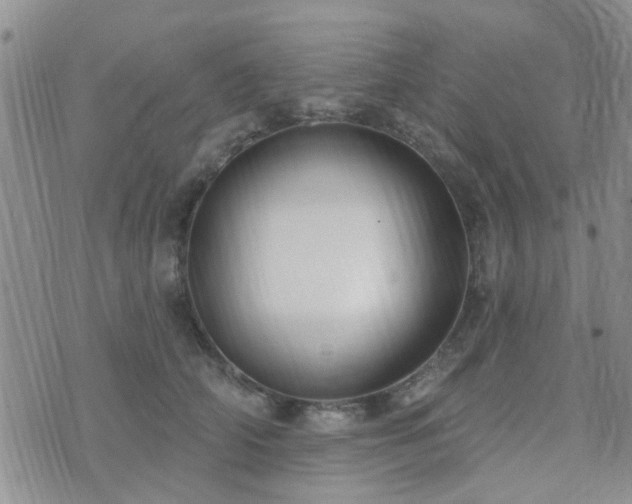 X0000073710706200608031240