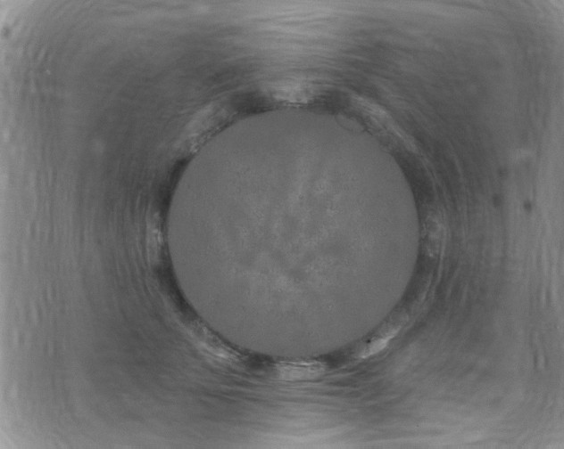 X0000073710707200608031240