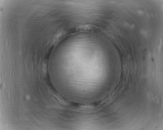 X0000073710708200608031240