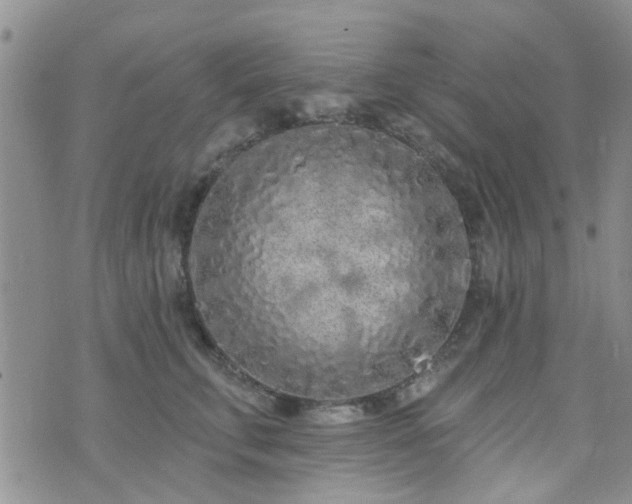 X0000073710711200608031239