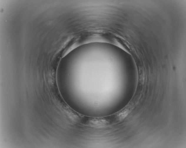 X0000073710712200608031239