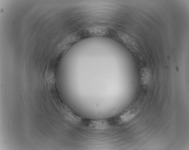 X0000073710713200608031239