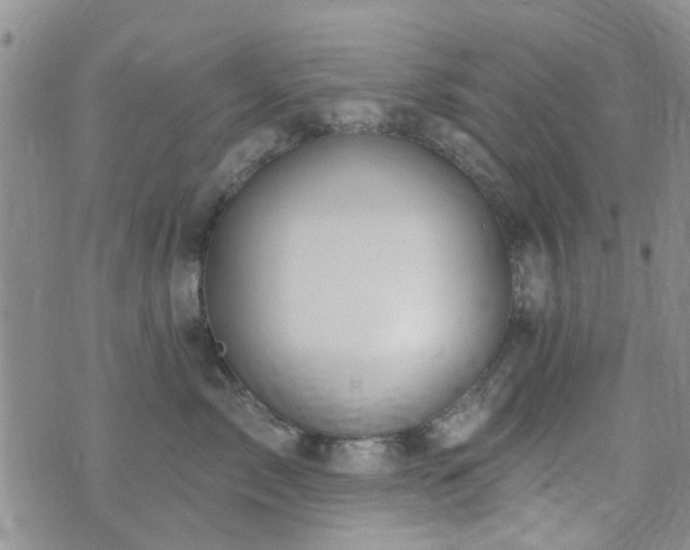 X0000073710717200608031239