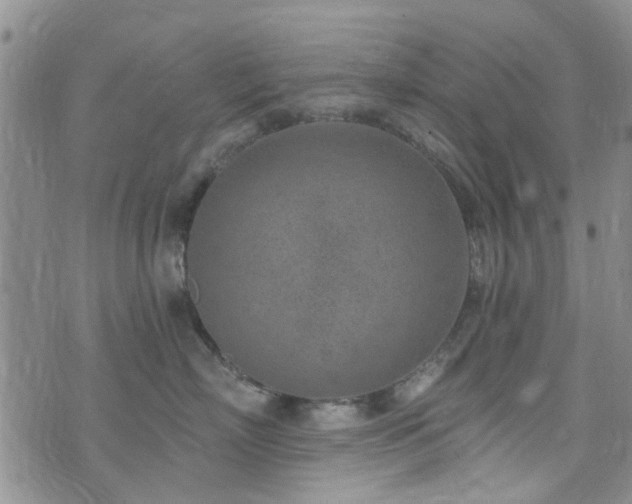 X0000073710718200608031239