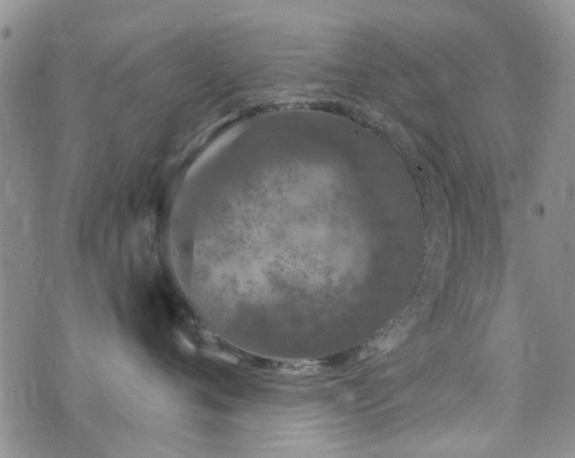 X0000073710720200608031239