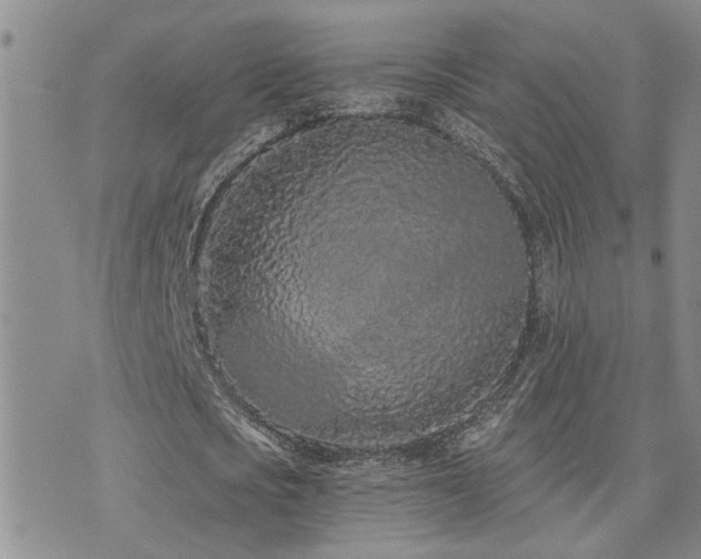 X0000073710721200608031239