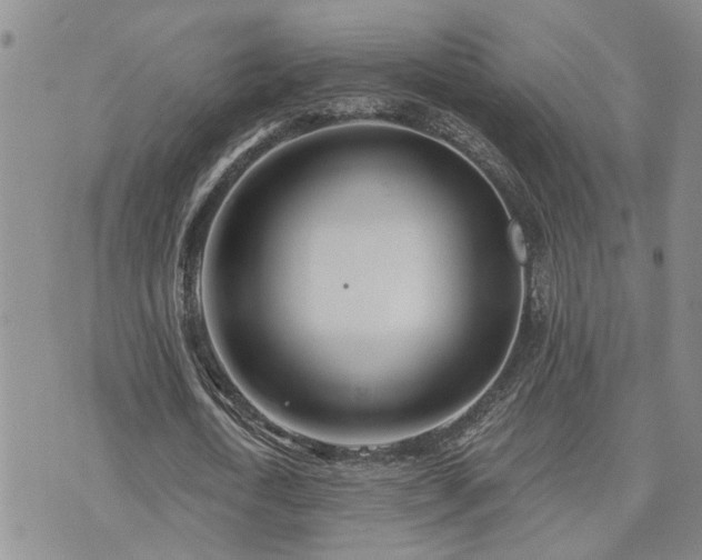 X0000073710722200608031239