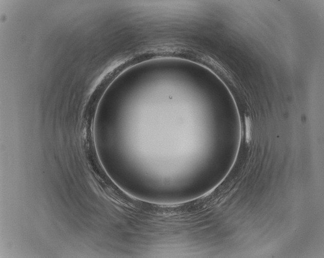 X0000073710723200608031239