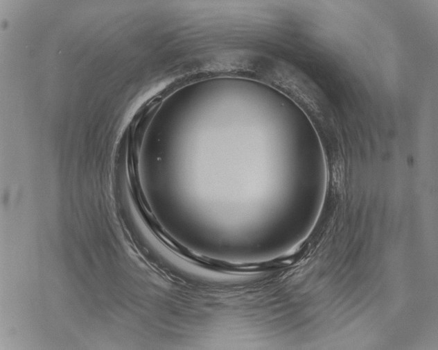 X0000073710724200608031239