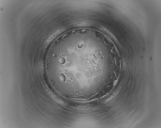 X0000073710725200608031239