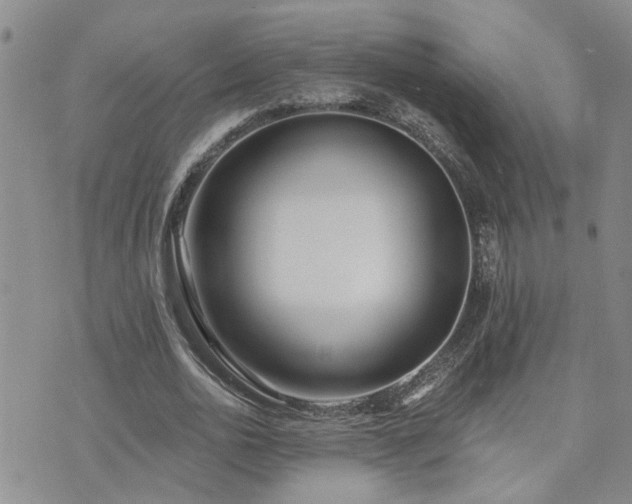 X0000073710726200608031239