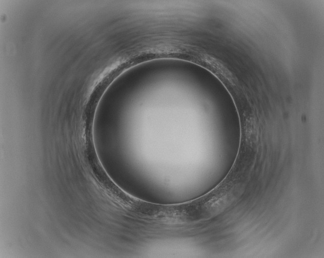 X0000073710727200608031239