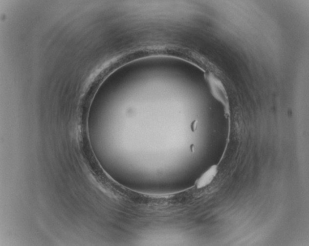 X0000073710728200608031239