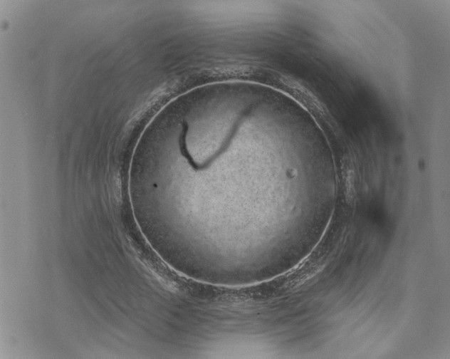 X0000073710729200608031239