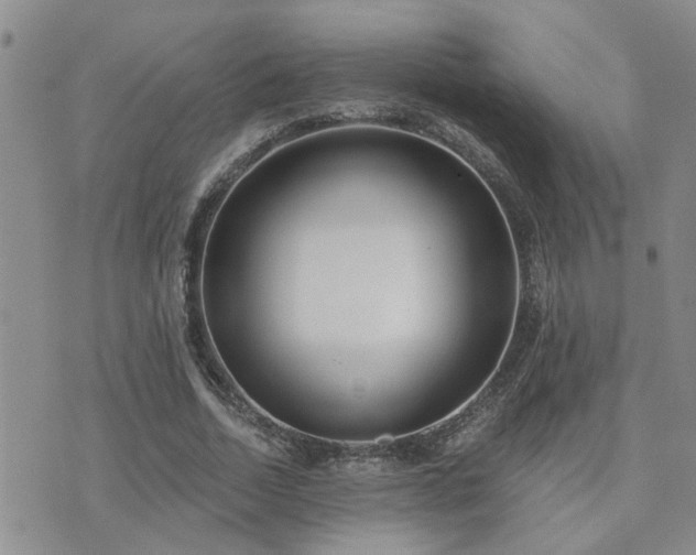 X0000073710730200608031239