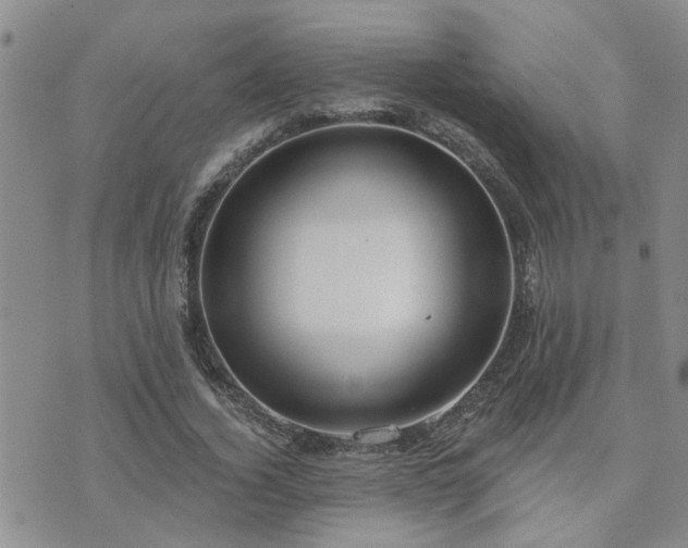 X0000073710732200608031239