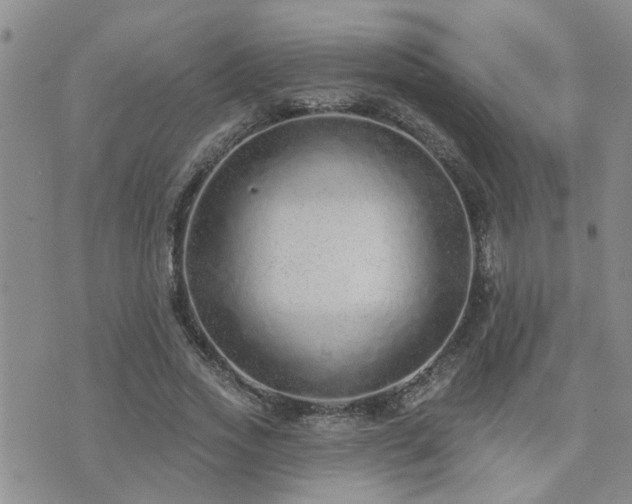 X0000073710733200608031239